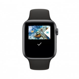 Apple Wallet on Apple Watch